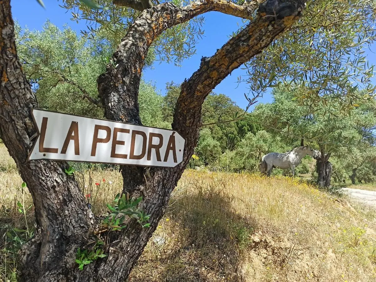 Casa Rural La Pedra Ronda Holiday home