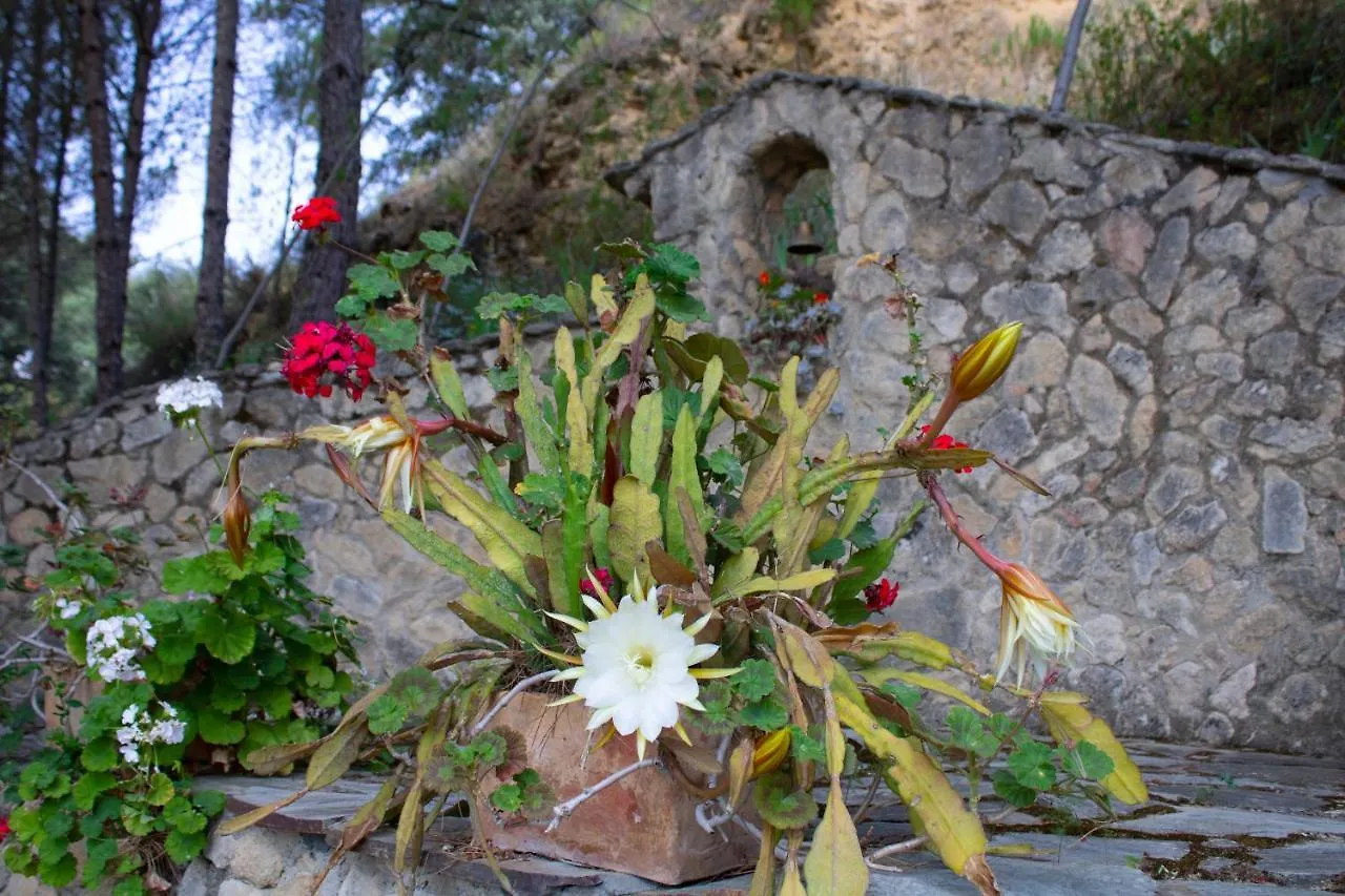 Casa Rural La Pedra Ronda Holiday home