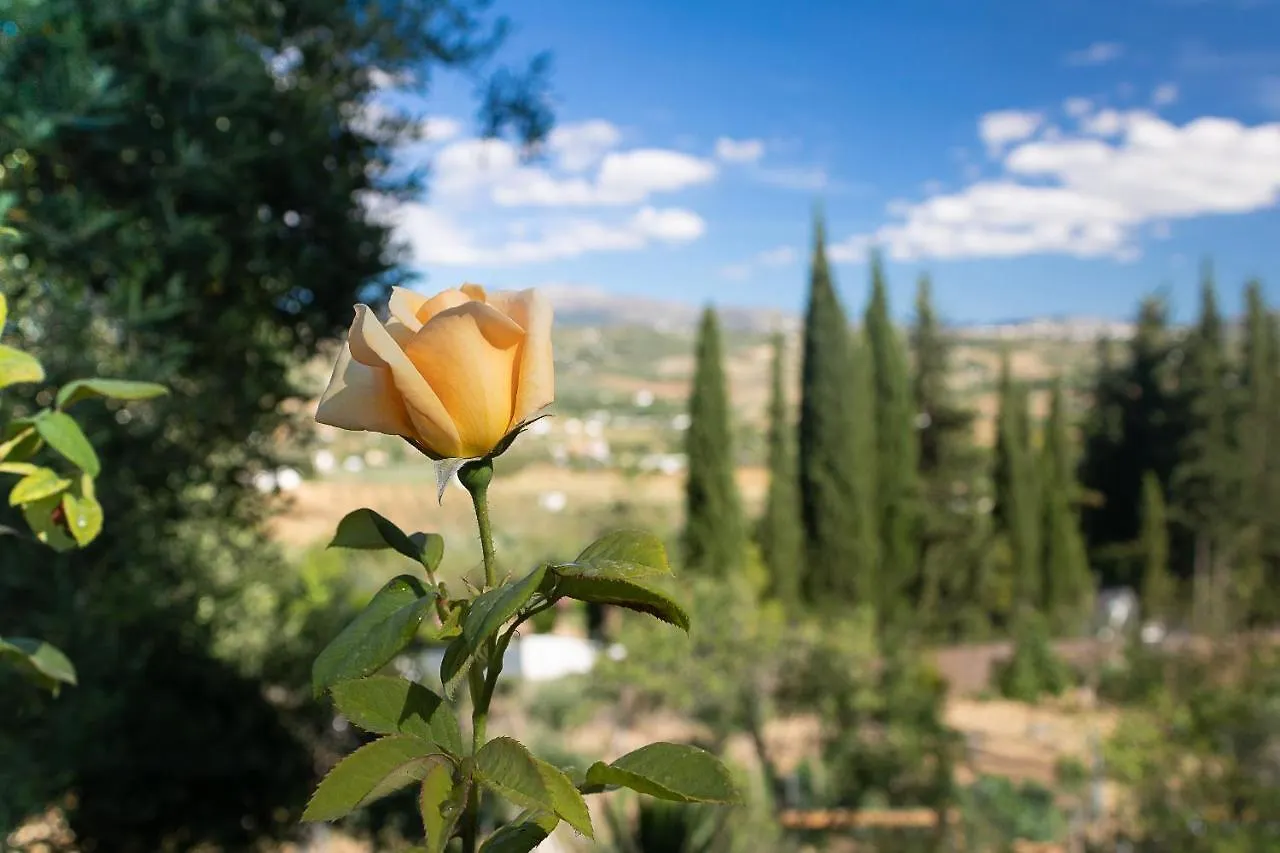 Casa Rural La Pedra Ronda Holiday home