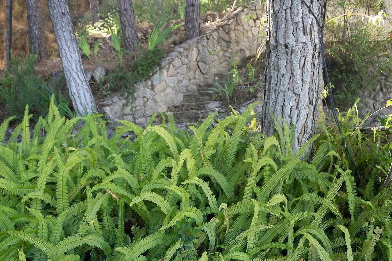 Casa Rural La Pedra 론다 펜션